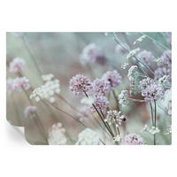 FOTOTAPETE 152x104 cm - Wildblumen - Weiß, Textil (152/104cm) - Wallfluent