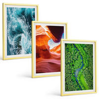 BILDER SET 3er Set - 40x60 cm Goldrahmen - Wasserbewegung Canyon grüner Wald - Goldfarben, Kunststoff (40/60cm) - TULUP