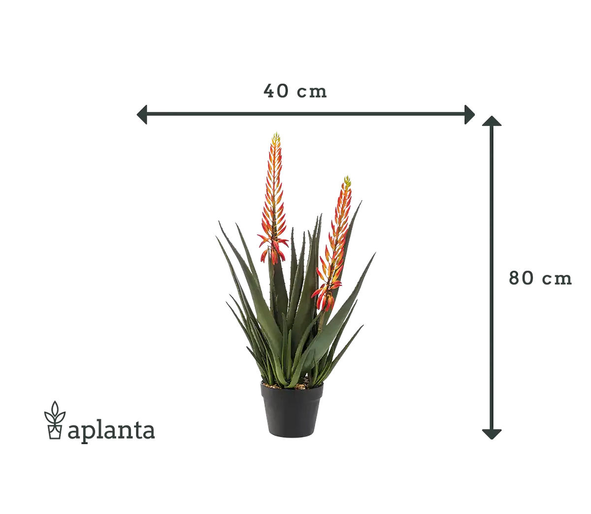 KUNSTPFLANZE Künstliche Aloe - Paulina 80 cm - Grün, Kunststoff (80cm) - Emerald