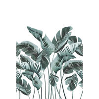 FOTOTAPETE große Bananenblätter 200 x 279 cm - Türkis, Papier (200/279cm) - ESTAhome