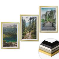 WANDBILDER 3er Set - 40x60 cm Goldrahmen - Berge, Seen, Wälder, Wege - Goldfarben, Kunststoff (40/60cm) - ArtPrintCave