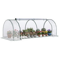 GEWÄCHSHAUS DE-05819 Frühbeet mit Tür 250/100/80 cm Grün - Transparent, Kunststoff/Metall (100/80/250cm) - ComfortXL