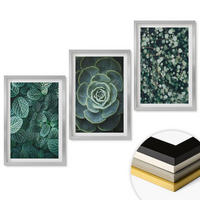 WANDBILDER 3er Set - 40x60 cm Silberner Rahmen - Sukkulenten - Silberfarben, Kunststoff (40/60cm) - ArtPrintCave