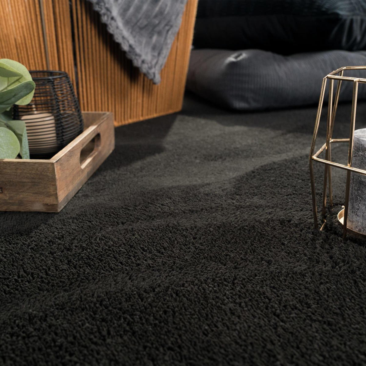 KURZFLOR-TEPPICH CADIZ 630 SCHWARZ 240X340 - Schwarz, Kunststoff (240/340cm) - Paco Home