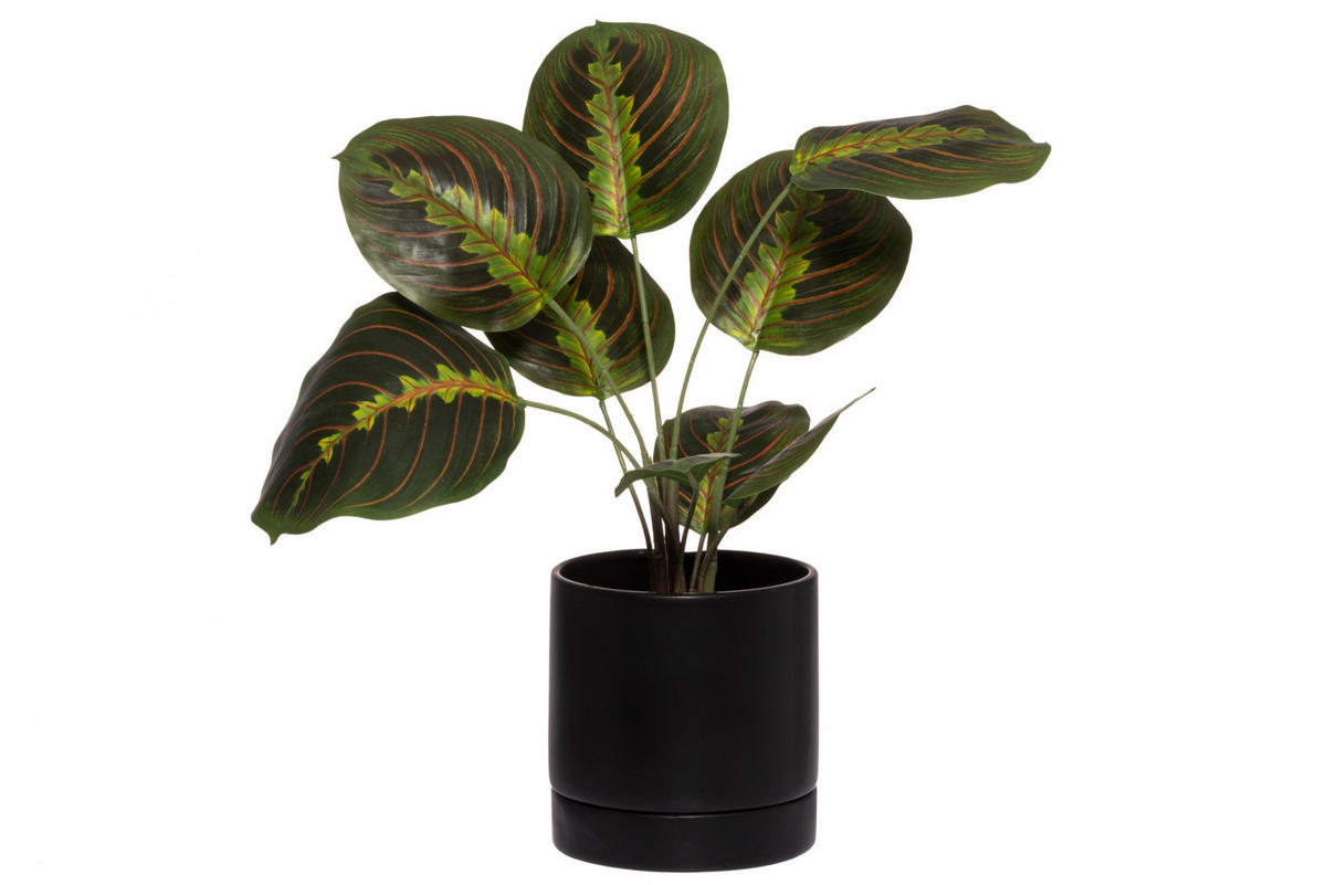 BLUMENTOPF mit Bewässerungssystem Ø 15 cm - Schwarz, Keramik (15/15.5cm)