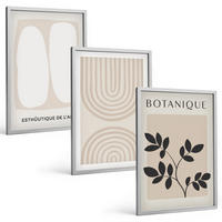 BILDER SET 3er Set - 40x60 cm Silberner Rahmen - Boho-Pflanzenposter - Silberfarben, Kunststoff (40/60cm) - TULUP