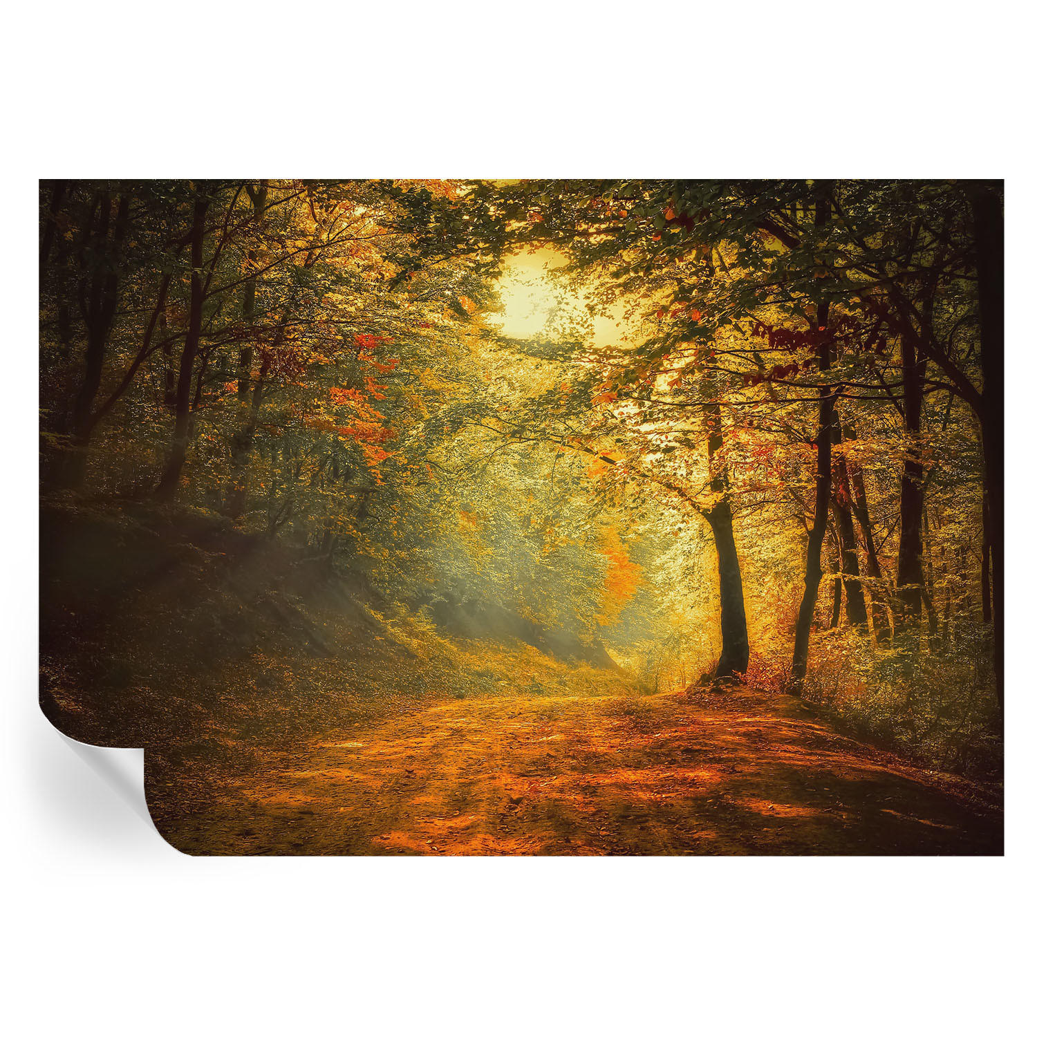 FOTOTAPETE 208x146 cm - Herbstlandschaft - Gelb, Textil (208/146cm) - Wallfluent