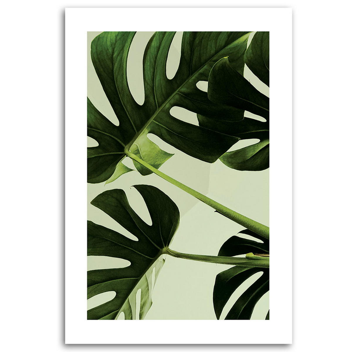 KUNSTDRUCK Grün 70/100 cm - Grün, Textil (70/100cm) - KUNSTLOFT
