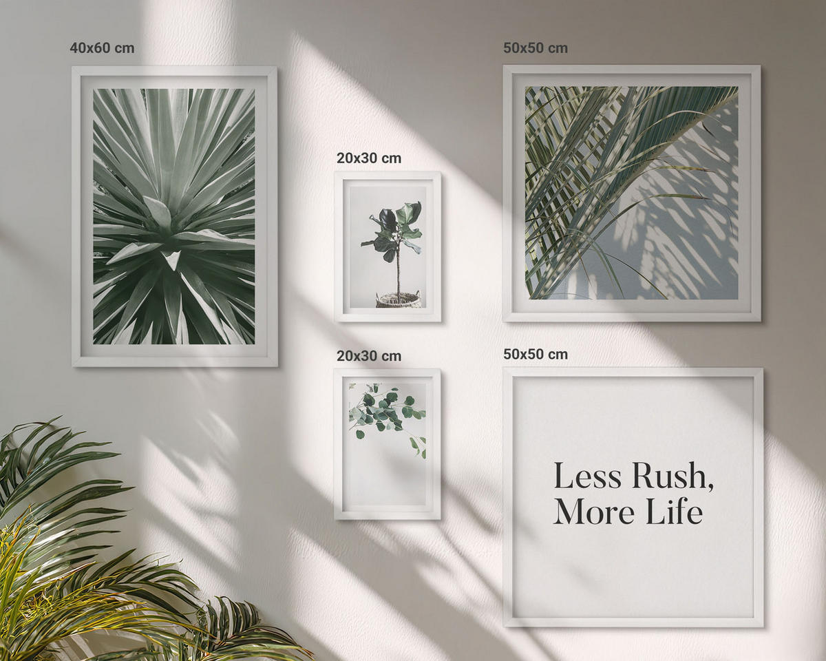 WANDBILDER 5er-Set - 50x50 cm & 20x30 cm & 40x60 cm Weißer Rahmen - Minimalismus mit grünen Pflanzen - Weiß, Kunststoff (40/60cm) - ArtPrintCave