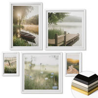 WANDBILDER 5er-Set - 50x50 cm & 20x30 cm & 40x60 cm Weißer Rahmen - Libellen im Gras, Wassermalerei - Weiß, Kunststoff (40/60cm) - ArtPrintCave