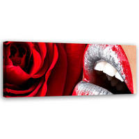 WANDBILD frauenlippen - Rot, Textil (90/30cm) - Feeby