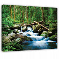 LEINWANDBILD Wald Fluss Grün 120x80 cm - Multicolor, Holzwerkstoff (120/80cm) - Wallarena