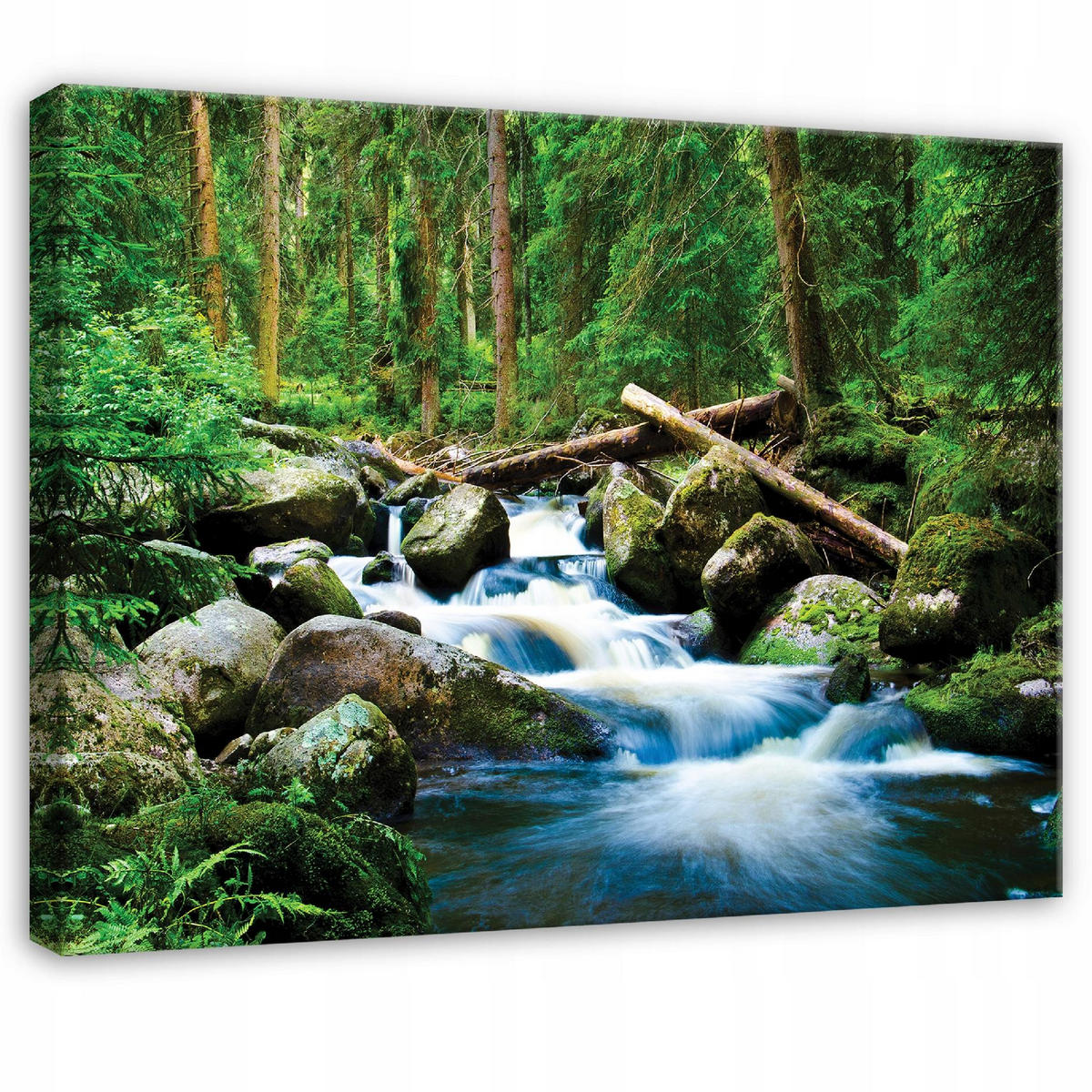 LEINWANDBILD Wald Fluss Grün 120x80 cm - Multicolor, Holzwerkstoff (120/80cm) - Wallarena