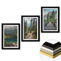 WANDBILDER 3er-Set - 20x30 cm Schwarzer Rahmen - Berge, Seen, Wälder, Wege - Schwarz, Kunststoff (20/30cm) - ArtPrintCave