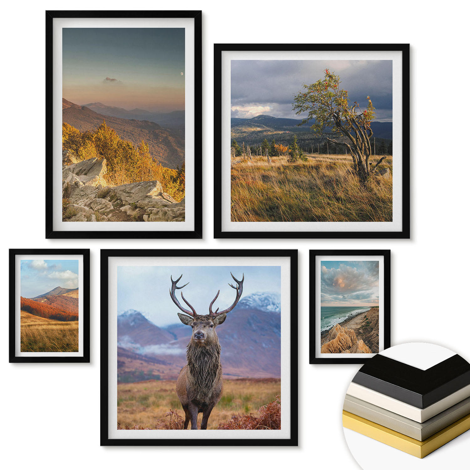 WANDBILDER 5er-Set - 50x50 cm & 20x30 cm & 40x60 cm Schwarzer Rahmen - Berglandschaften, Hirschgras - Schwarz, Kunststoff (40/60cm) - ArtPrintCave