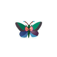 WANDDEKO Gemusterter Falter 8.5/17 cm - Multicolor, Wellpappe (8.5/17/25cm) - KUNSTLOFT