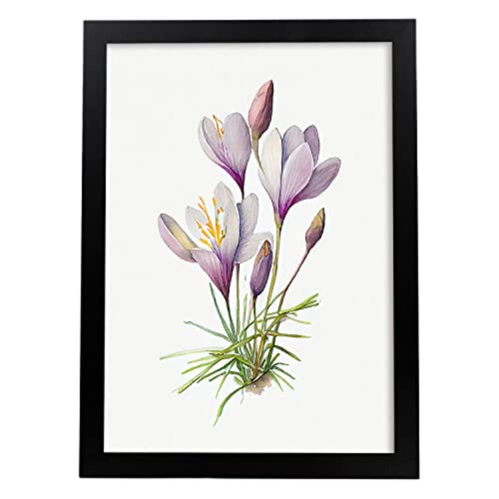 POSTER Krokus Im Nordischen Stil. A4 Rahmenlos - Klar, Papier (29.7/5/21cm) - Nacnic