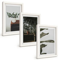 BILDER SET 3er Set - 20x30 cm Weißer Rahmen - Rustikale Topfpflanzen - Weiß, Kunststoff (20/30cm) - TULUP