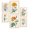 POSTER Set Mit 6 Orangefarbene Blumen Vollfarbige Natur & Botanikdrucke Mit Blumenmotiven Auf Reinweißen Hintergründen A3 & A4 Rahmen Aus Hellem Holz - Beige, Papier (29/3cm) - Nacnic