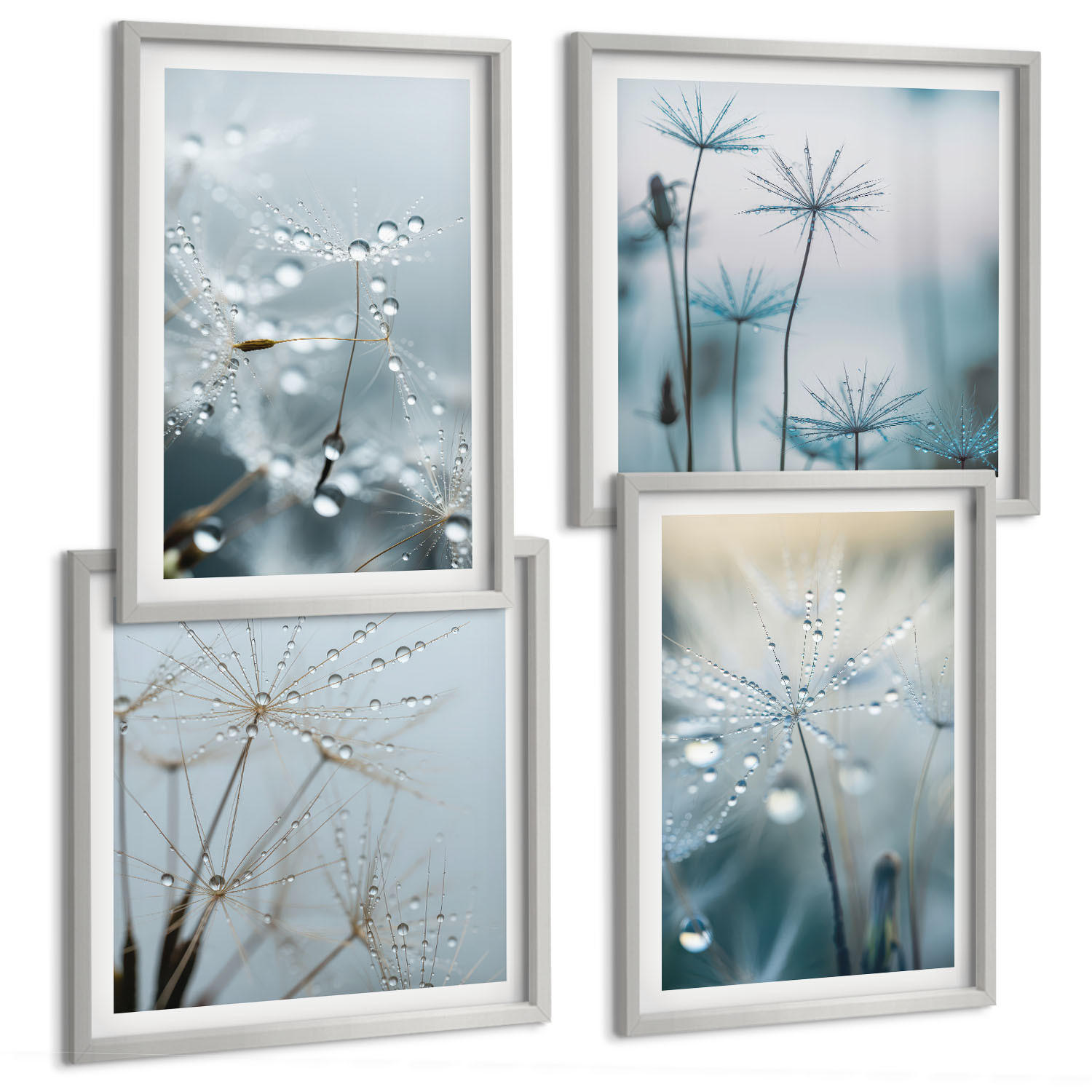 BILDER SET 4er Set - 50x50 cm & 40x60 cm Silberner Rahmen - Tautropfen auf Löwenzahn - Silberfarben, Kunststoff (50/50cm) - TULUP