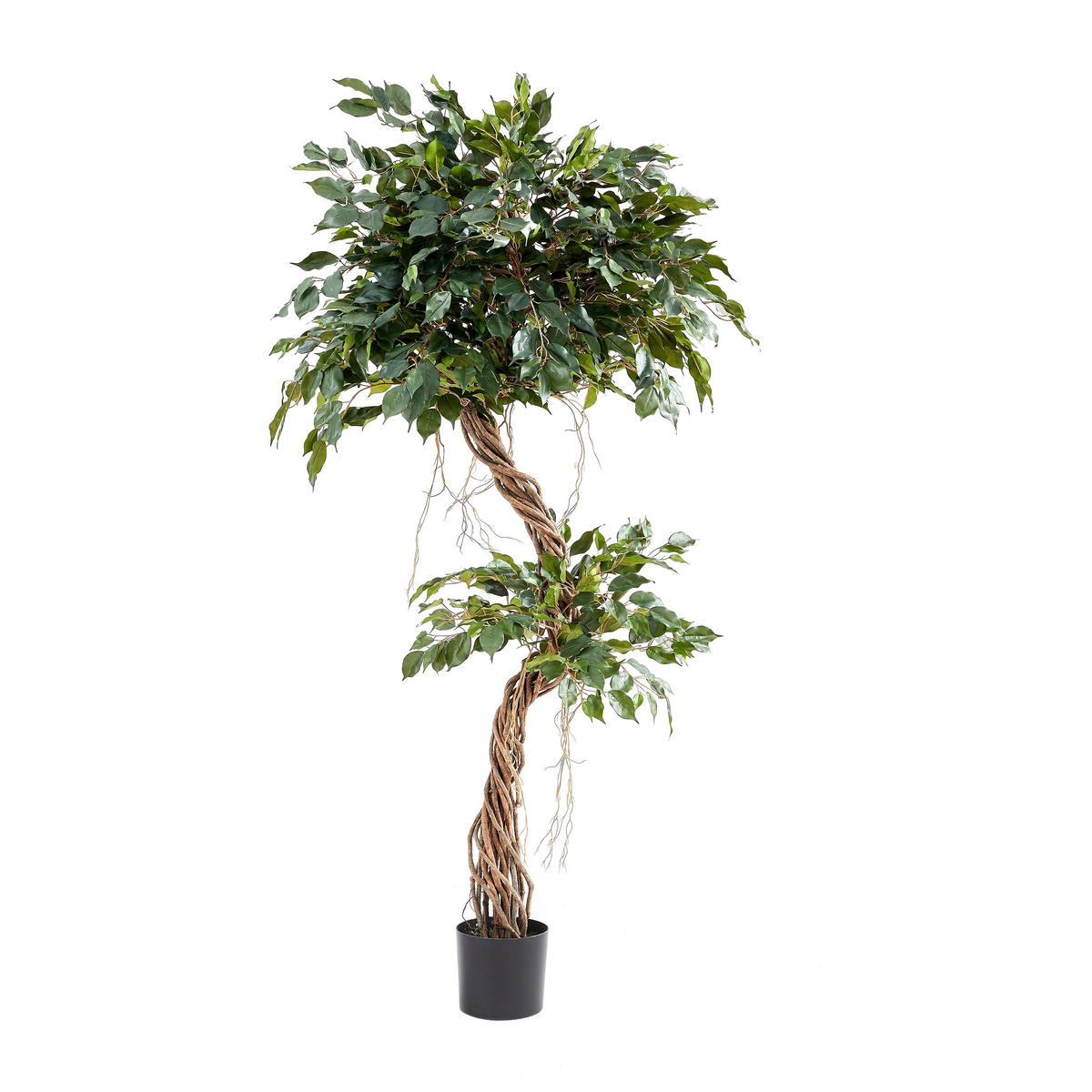 KUNSTBAUM Künstlicher Ficus – Seraphius 180 cm - Grün, Kunststoff (180cm) - aplanta
