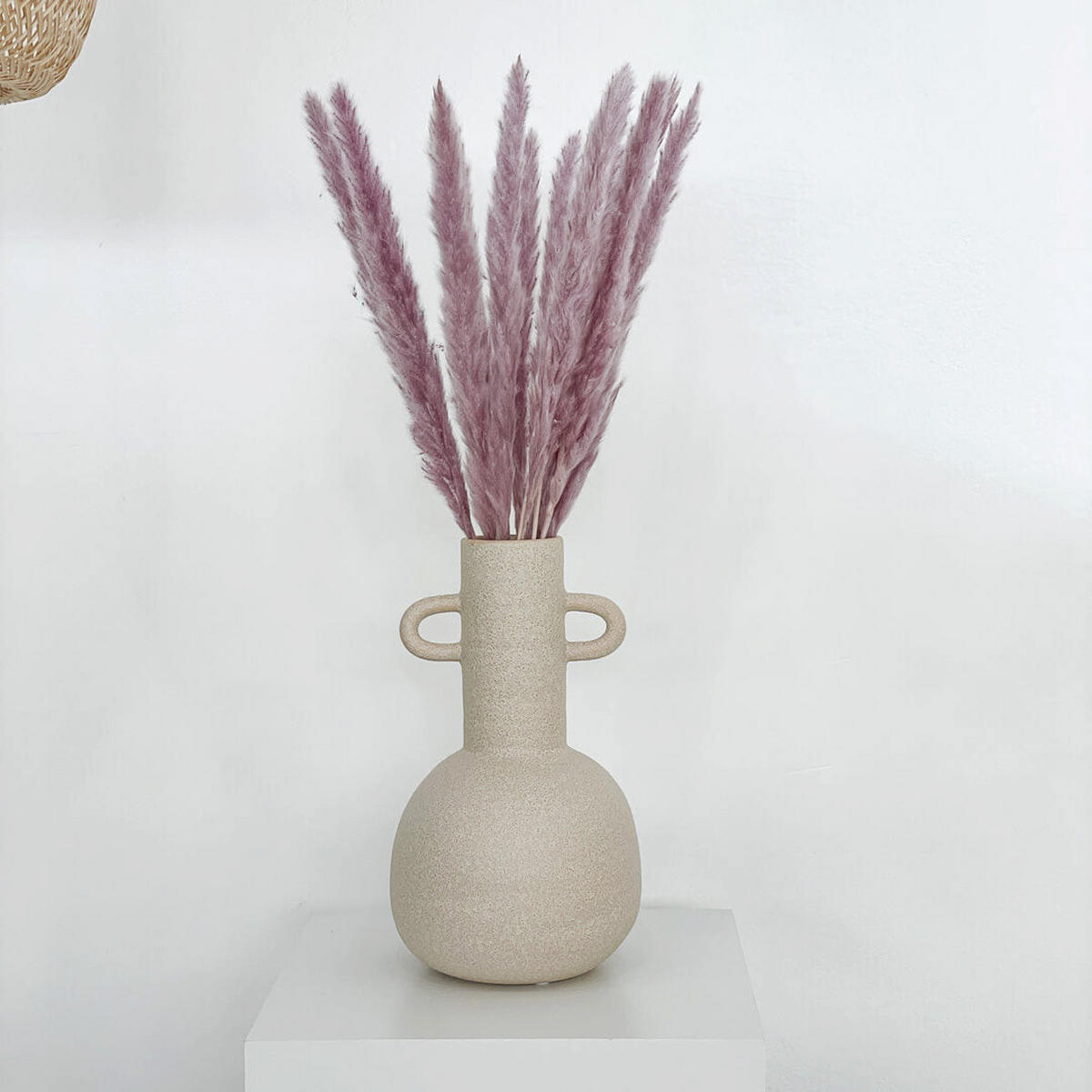 PAMPASGRAS Mini - weiß / Bund / 65 cm - Weiß, Naturmaterialien (65cm) - Lykke & You
