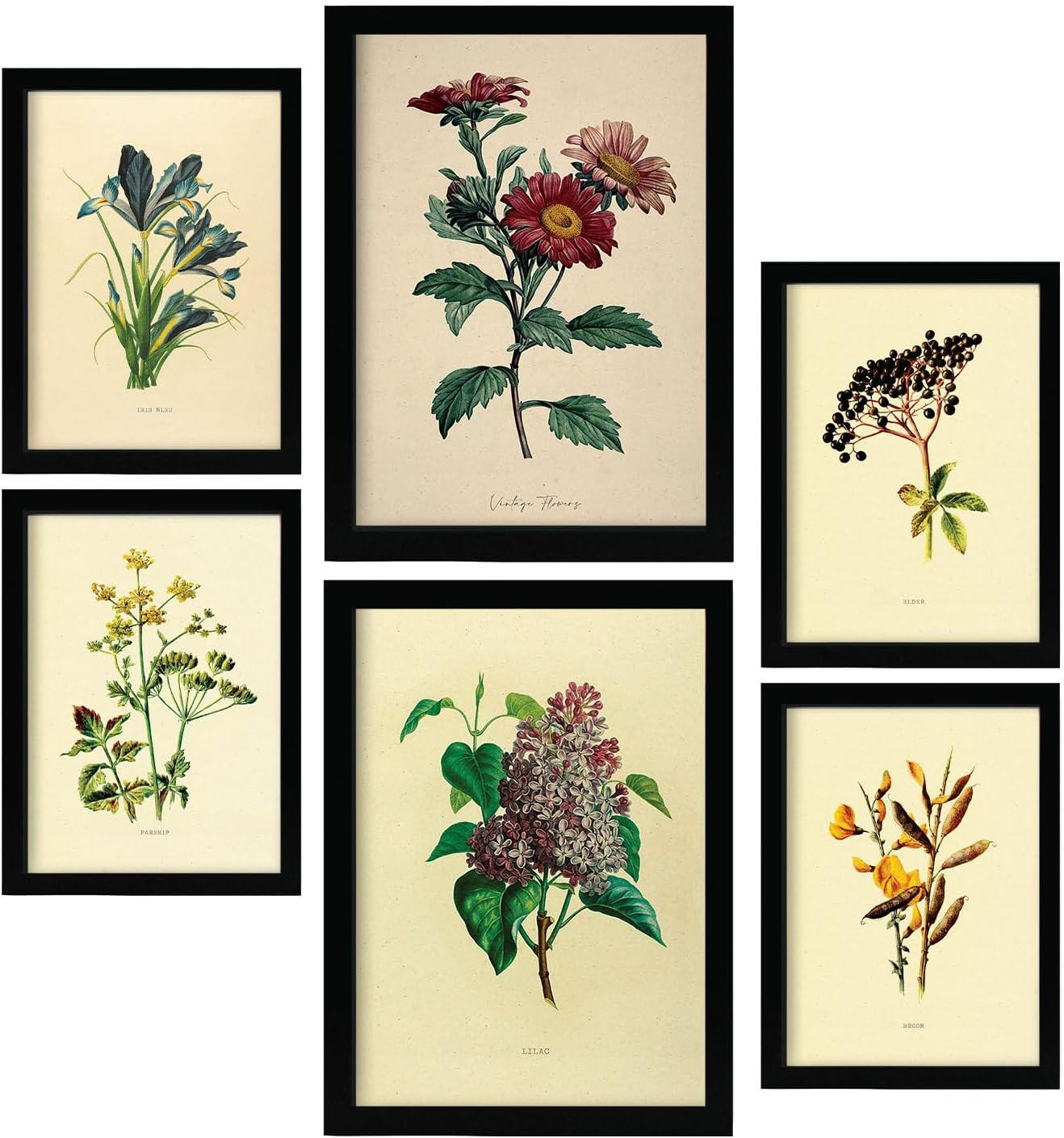 POSTER Set Mit 6 Dunkle Blumen In Vintage A3 & A4 Schwarzer Rahmen - Schwarz, Papier (29/3cm) - Nacnic