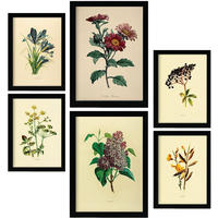 POSTER Set Mit 6 Dunkle Blumen In Vintage A3 & A4 Schwarzer Rahmen - Schwarz, Papier (29/3cm) - Nacnic