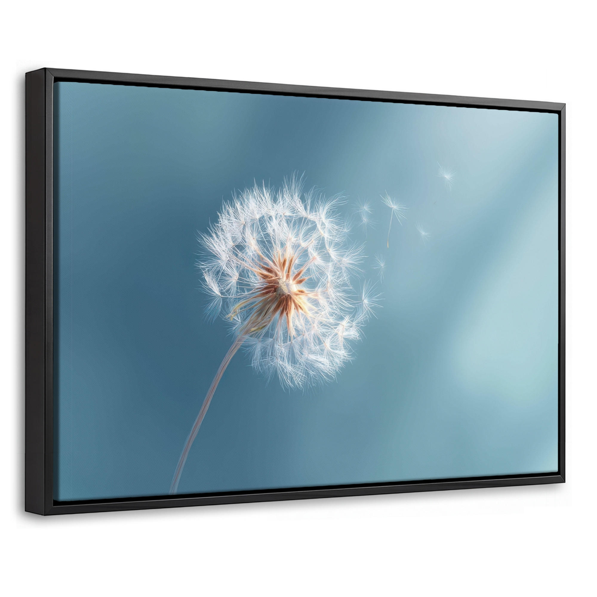 LEINWAND Bilder mit Rahmen - Löwenzahn - Wind - Blau - 30x20 - Blaugrau, Textil (30/20cm) - MuchoWow