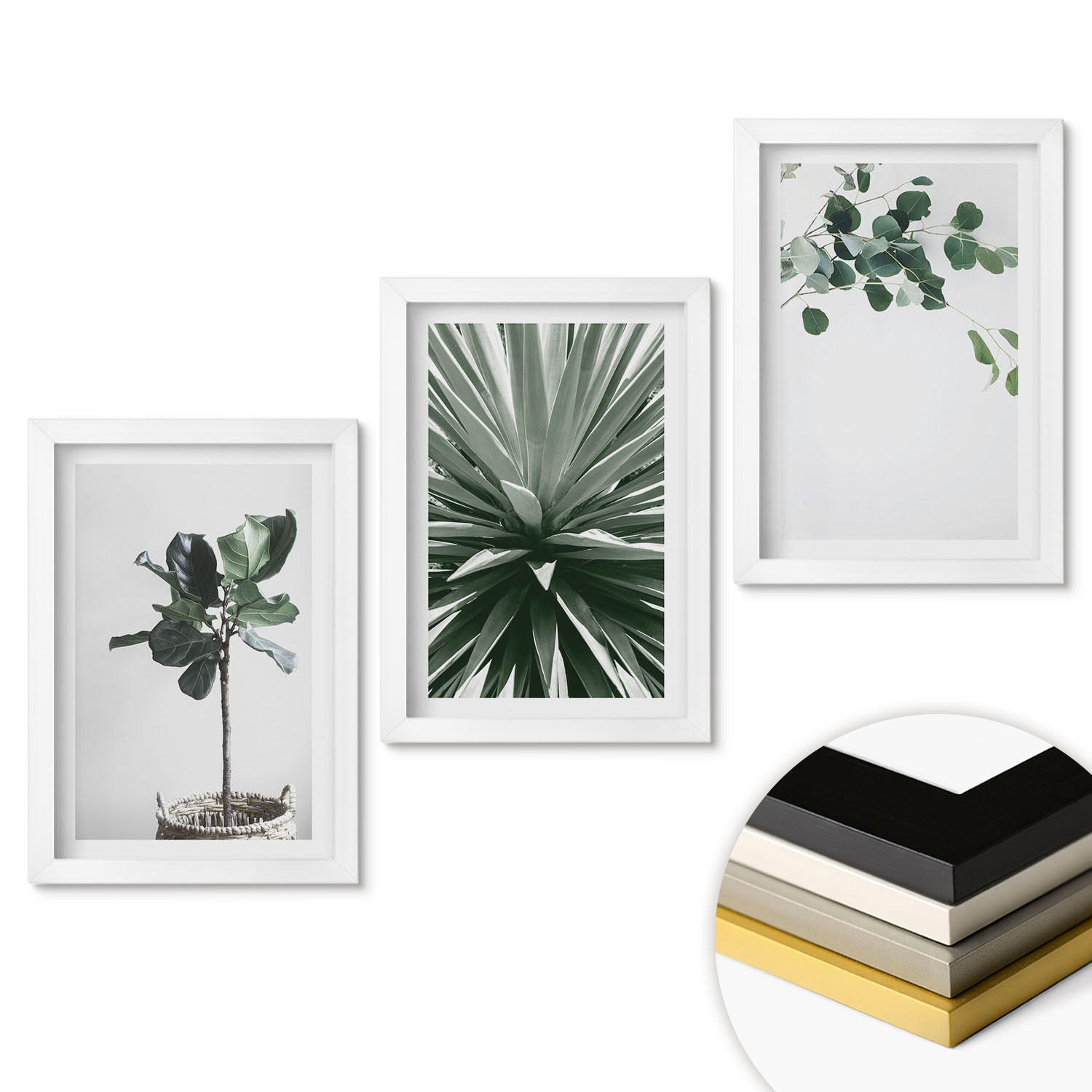 WANDBILDER 3er-Set - 20x30 cm Weißer Rahmen - Minimalismus mit grünen Pflanzen - Weiß, Kunststoff (20/30cm) - ArtPrintCave