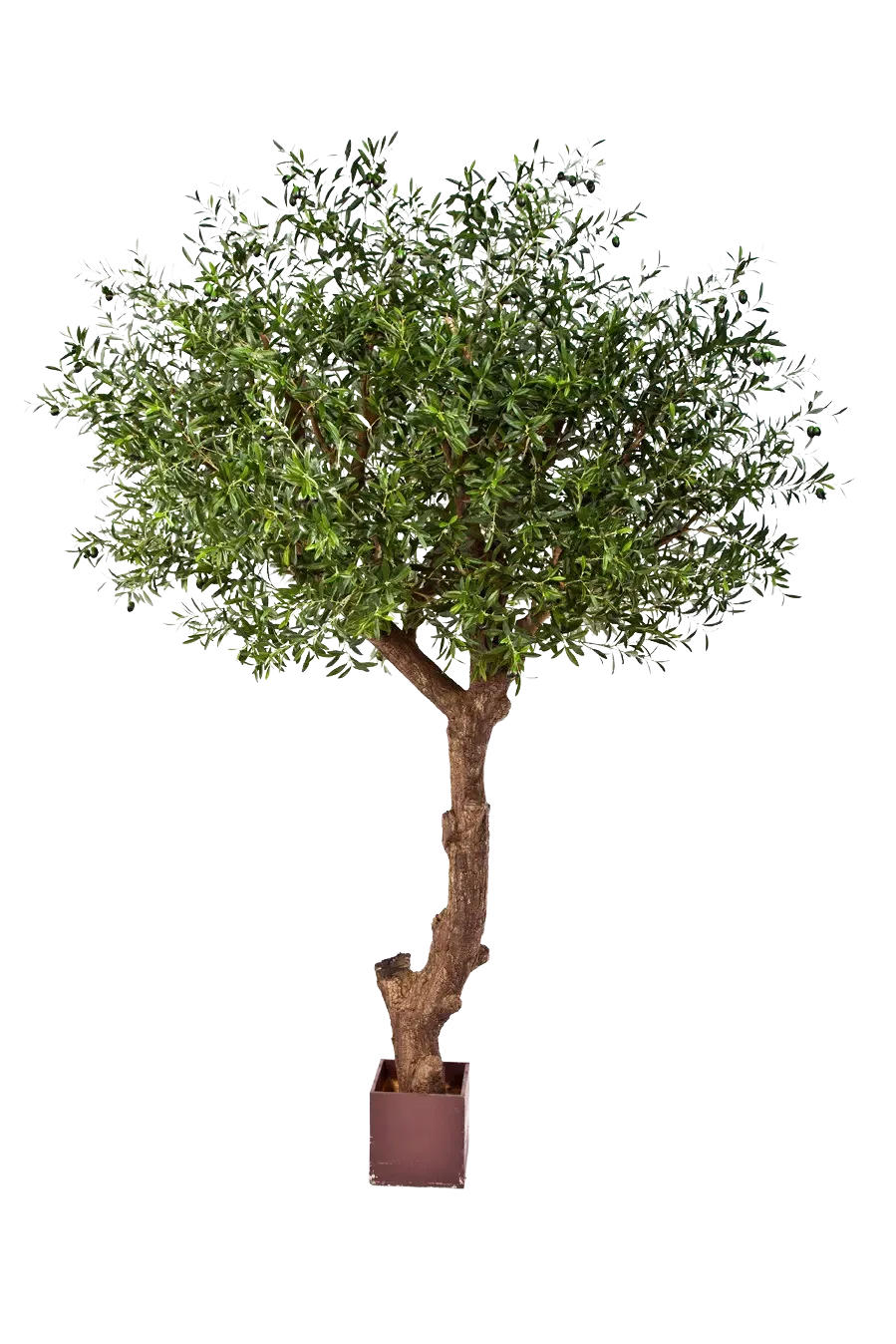 KUNSTBAUM Künstlicher Olivenbaum - Ilias 270 cm - Grün, Kunststoff (270cm) - aplanta