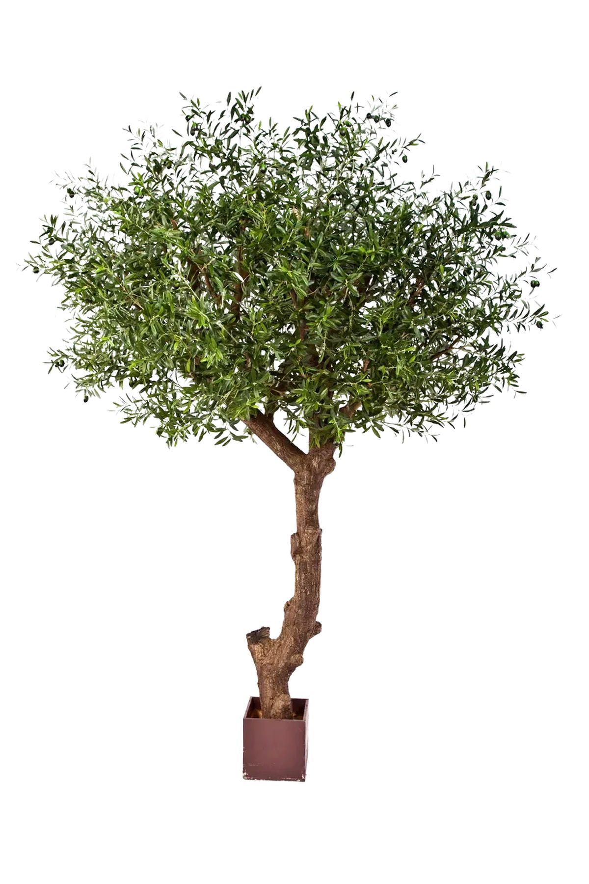 KUNSTBAUM Künstlicher Olivenbaum - Ilias 270 cm - Grün, Kunststoff (270cm) - aplanta