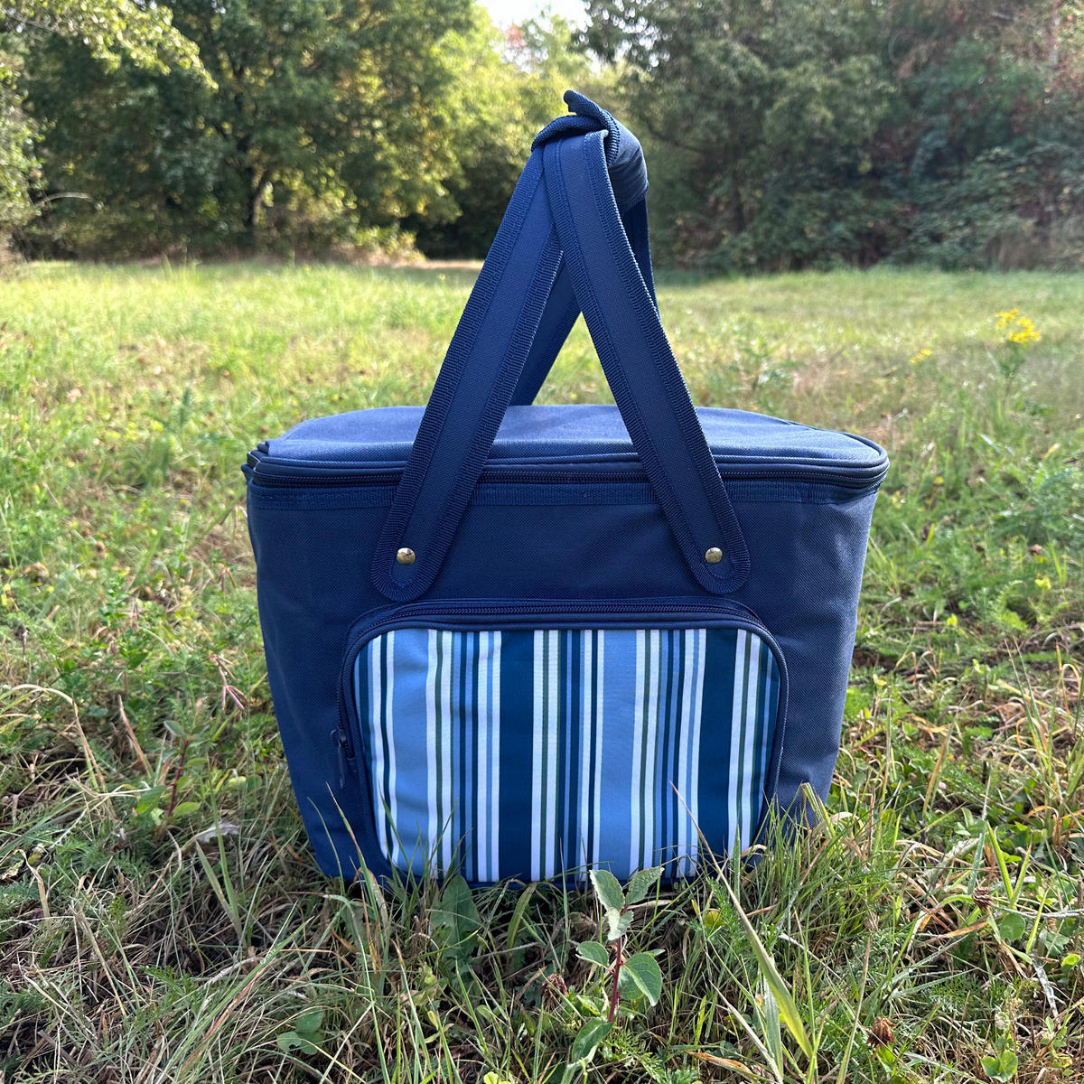 KÜHLTASCHE 20l Blau - Blau, Textil (36/26/22cm) - SVITA