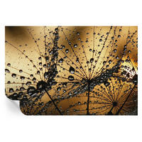 FOTOTAPETE 104x70 cm - Zarte Tropfen - Weiß, Textil (104/70cm) - Wallfluent