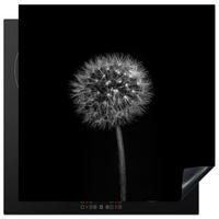 HERABDECKPLATTE - Löwenzahn - Schwarz - Floral - Botanisch - 58x59 - Grau, Kunststoff (58/59/0.2cm) - MuchoWow