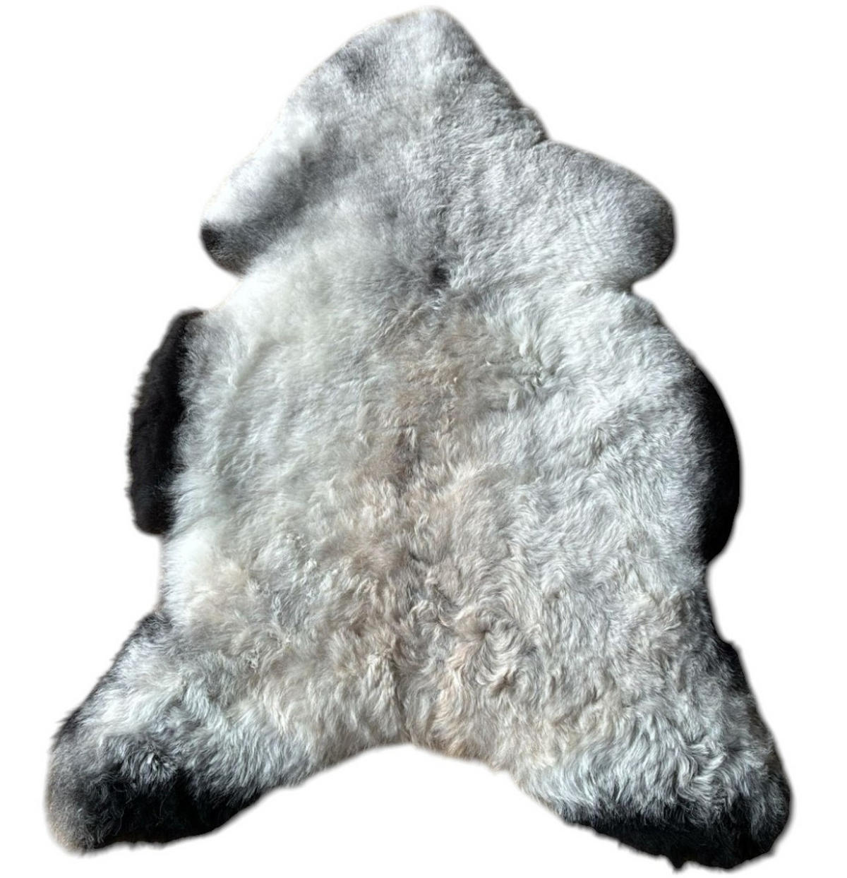 SCHAFFELL Ganzes Island Lammfell Kurzhaarig Naturfarben, 120 cm - Beige/Schwarz, Fell (65/120cm) - Provellus