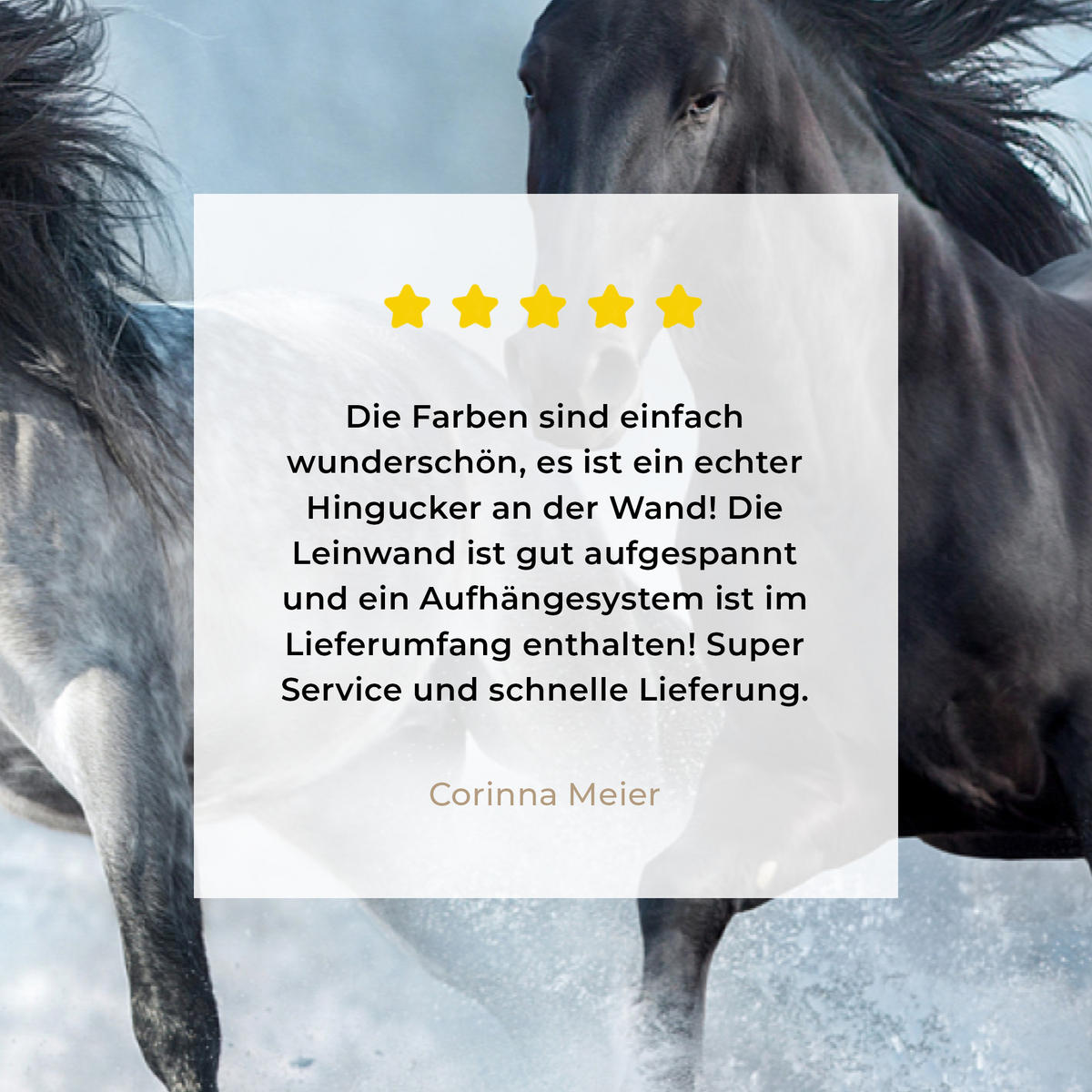 LEINWANDBILD Pferde - Winter - Tiere - Natur - Schnee XXL 150x100 cm - Anthrazit, Textil (150/100cm) - MuchoWow