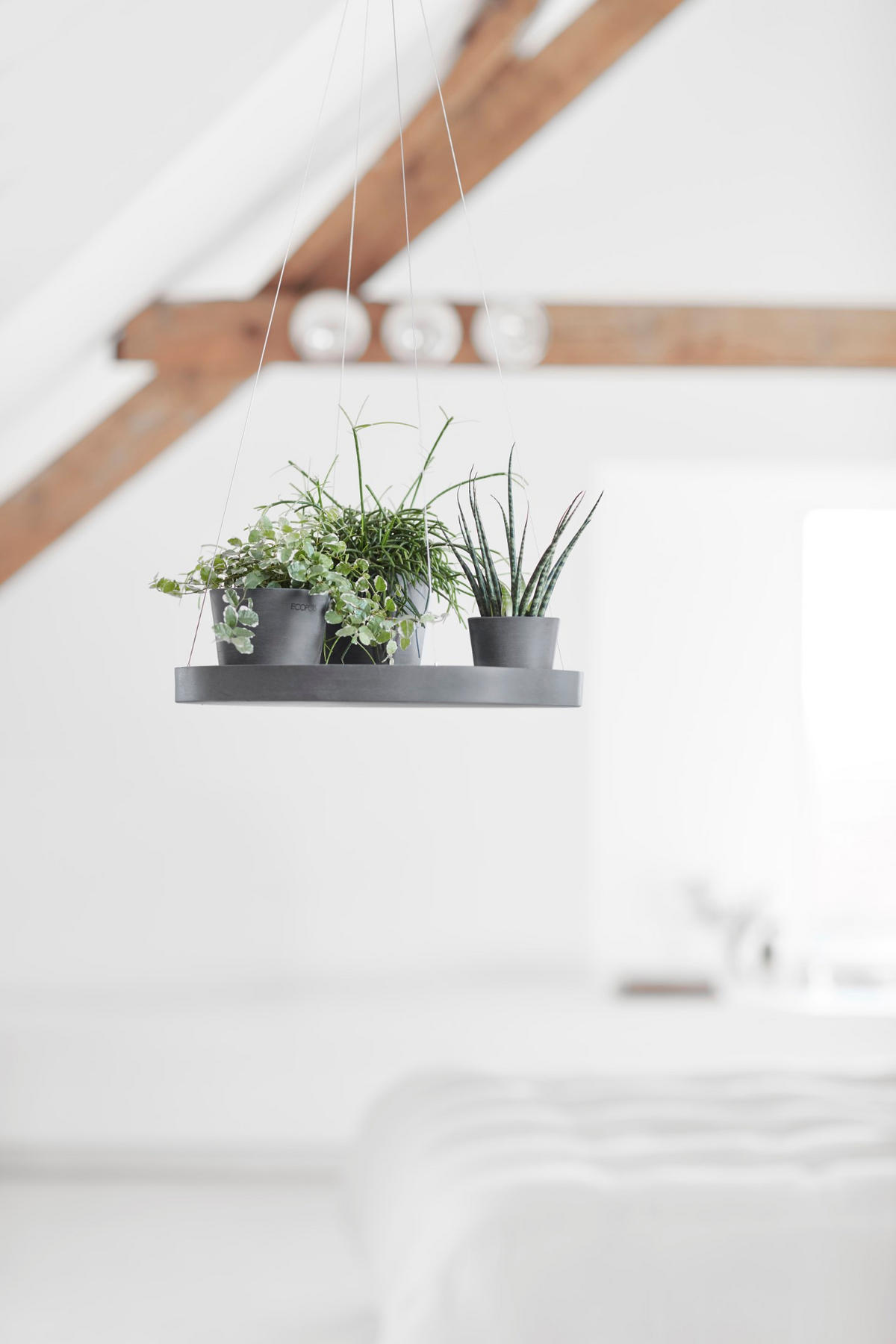 BLUMENTOPFUNTERSETZER Hängend 36/3 cm Grau - Grau, Kunststoff (36/3cm) - Ecopots