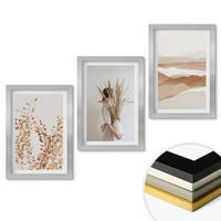 WANDBILDER 3er Set - 20x30 cm Silberner Rahmen - Rustikale Boho-Blumenmotive - Silberfarben, Kunststoff (20/30cm) - ArtPrintCave