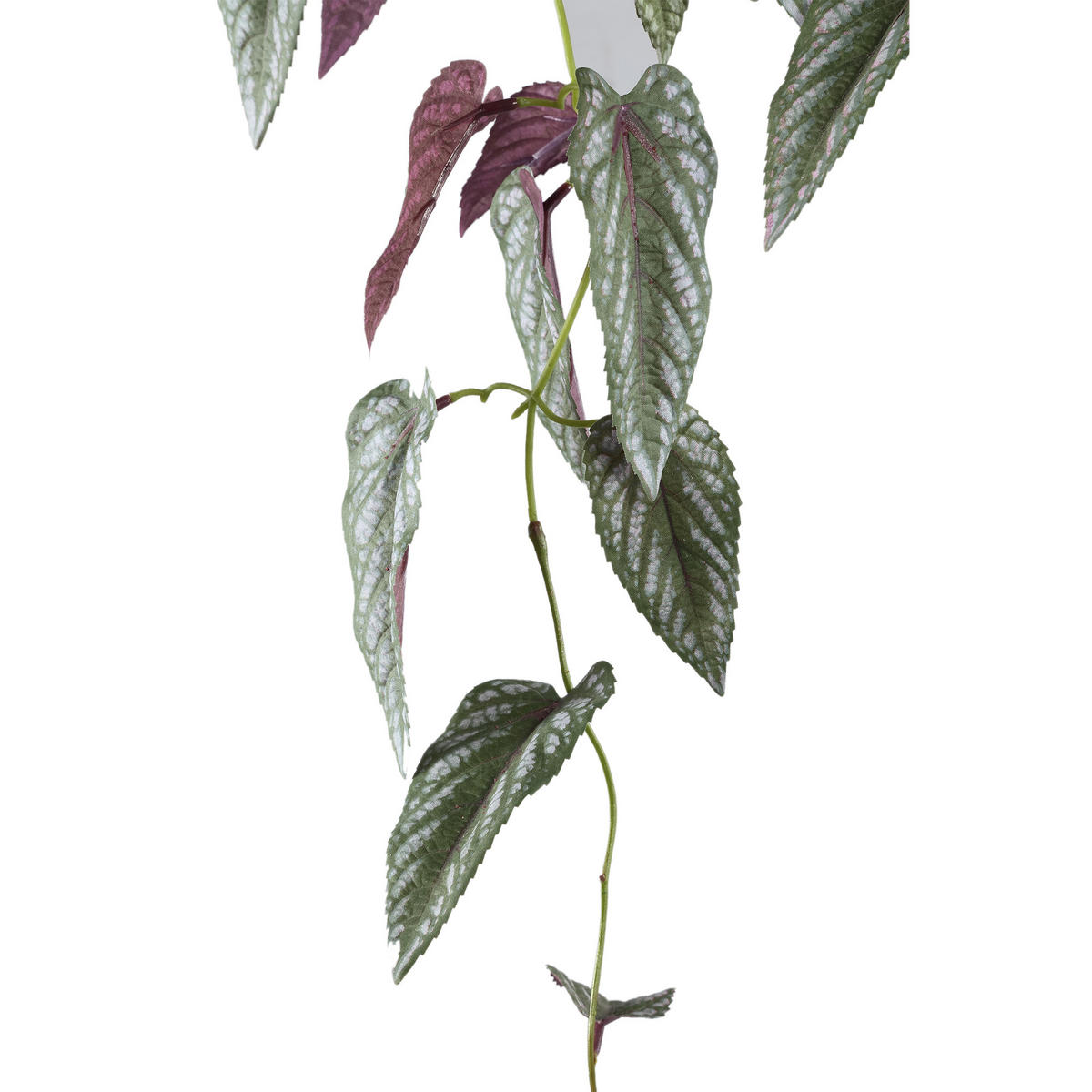 KUNSTPFLANZE Leaves Grün 76/30/76cm - Grün, Kunststoff/Metall (76cm) - PTMD Collection
