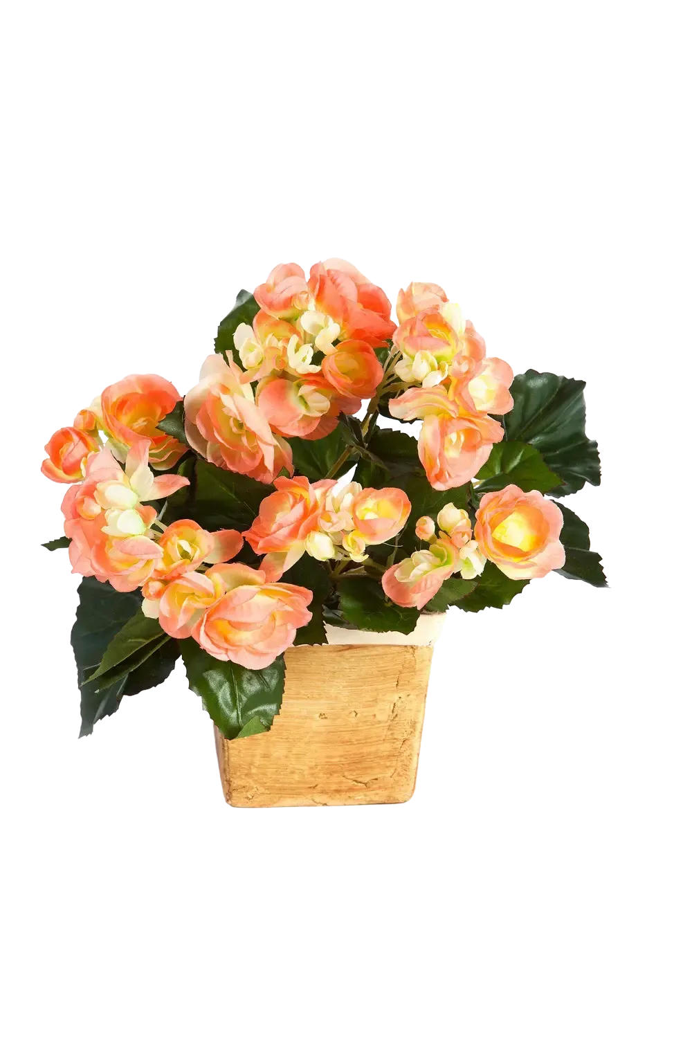 KÜNSTLICHE Begonie - Steckpflanze - Amber 20 cm - Gelb, Kunststoff (20cm) - aplanta