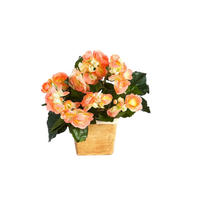 KÜNSTLICHE Begonie - Steckpflanze - Amber 20 cm - Gelb, Kunststoff (20cm) - aplanta