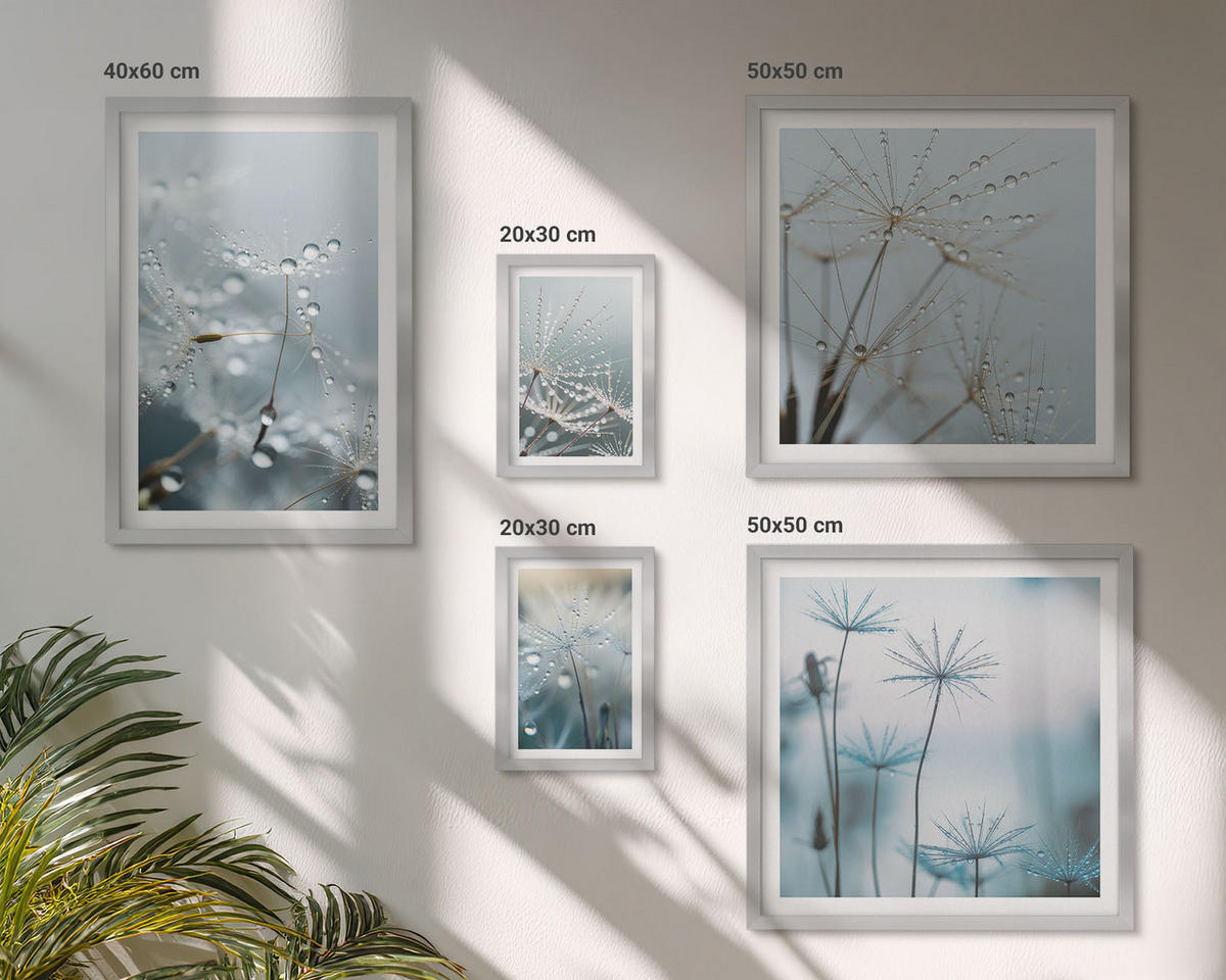 BILDER SET 5er Set - 50x50 cm & 20x30 cm & 40x60 cm Silberner Rahmen - Wassertropfen auf Löwenzahnsprossen - Silberfarben, Kunststoff (40/60cm) - TULUP