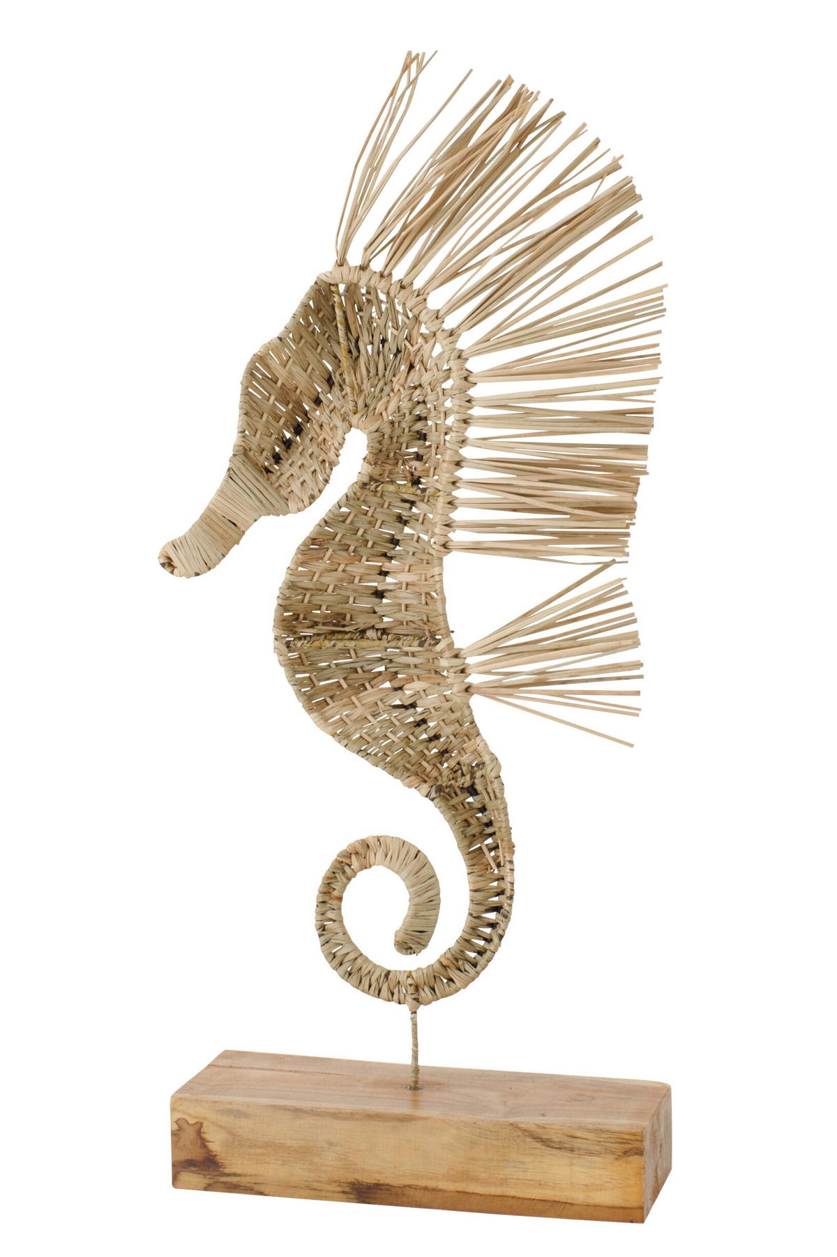 OBJEKT SEEPFERDCHEN - Naturfarben, Naturmaterialien (12/80/35cm) - J-Line