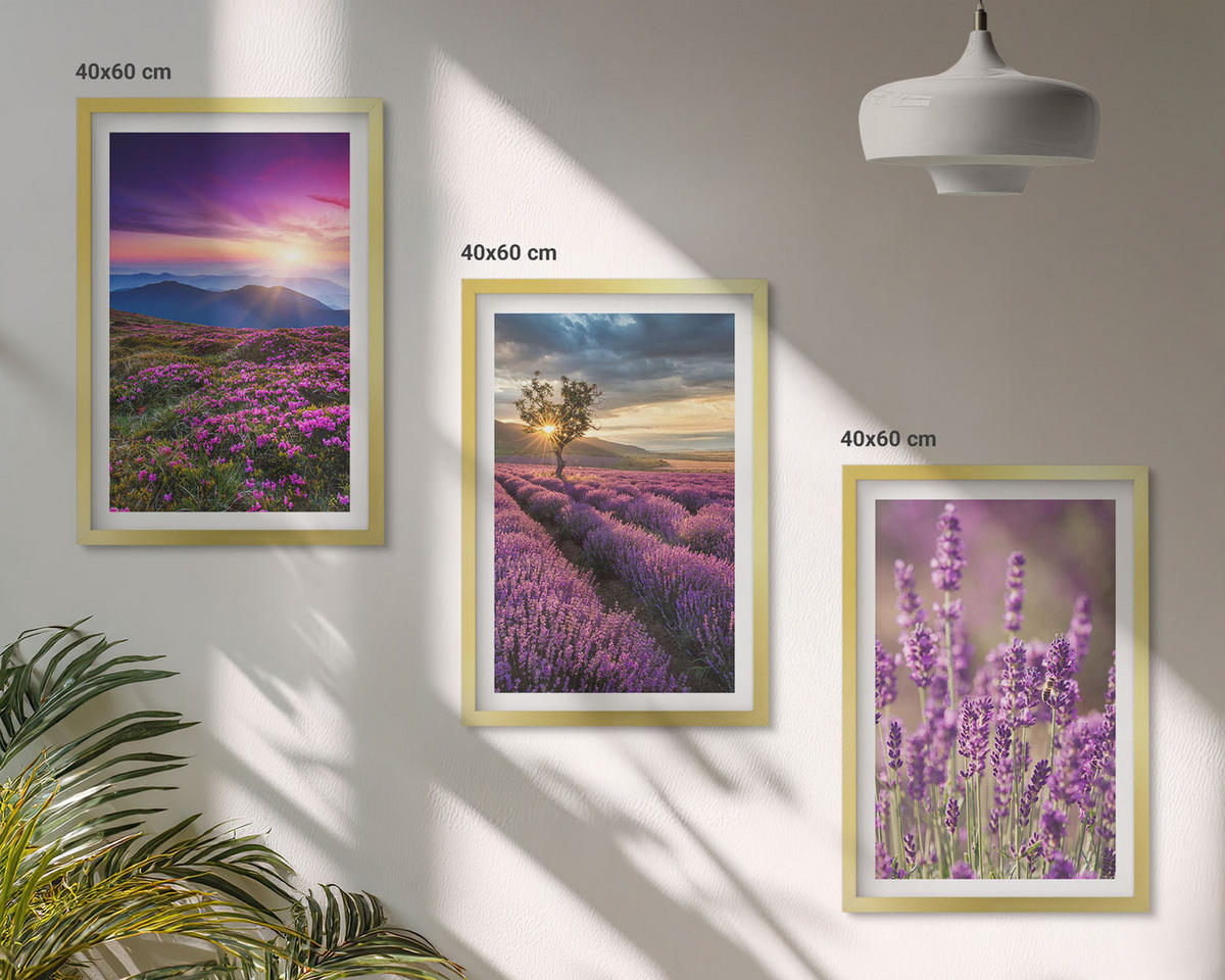 BILDER SET 3er Set - 40x60 cm Goldrahmen - Sonnenuntergang auf Lavendelfeldern - Goldfarben, Kunststoff (40/60cm) - TULUP