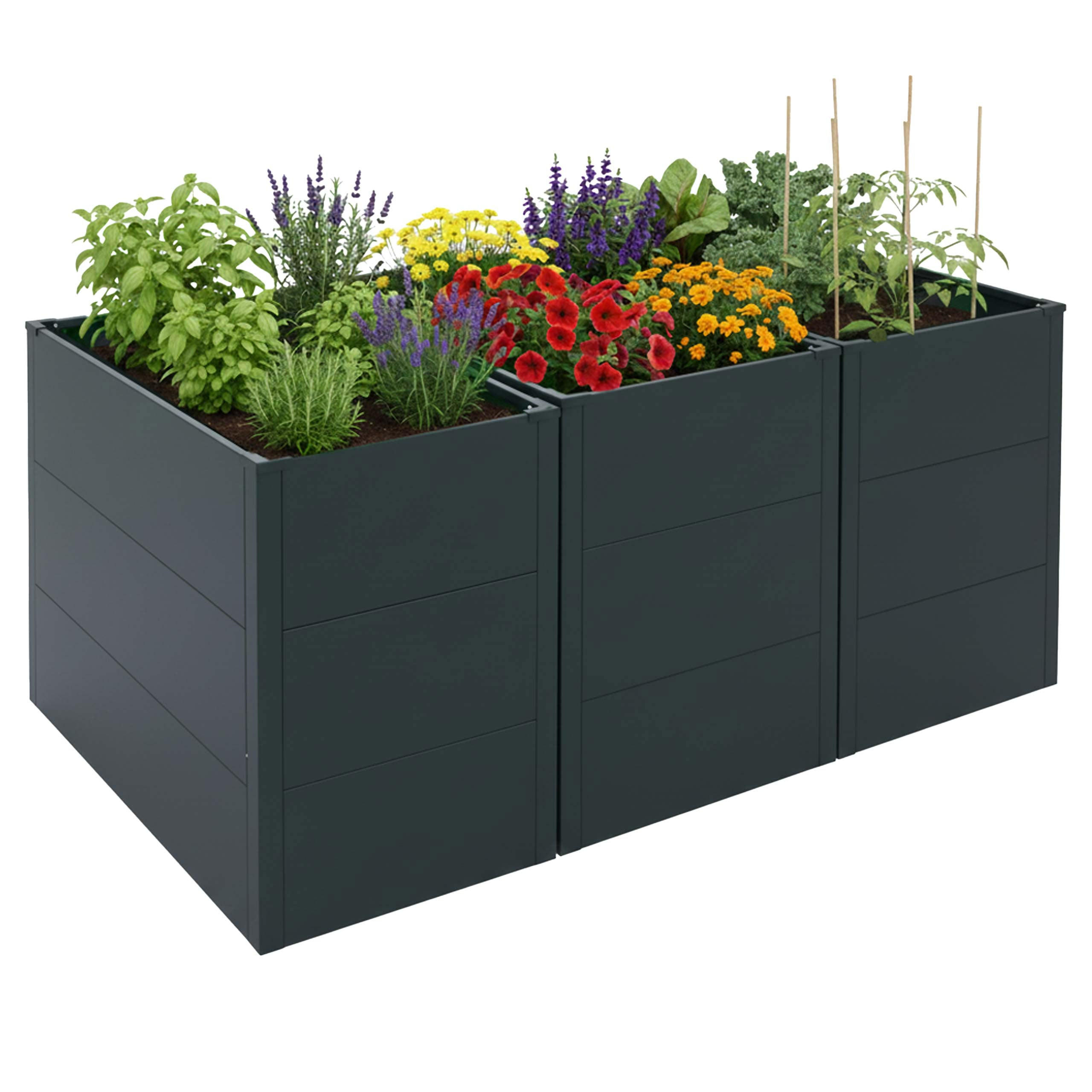 HOCHBEET 3er-Set 77x150x100cm Grün - Grün, Metall (150/77/100cm) - PROREGAL