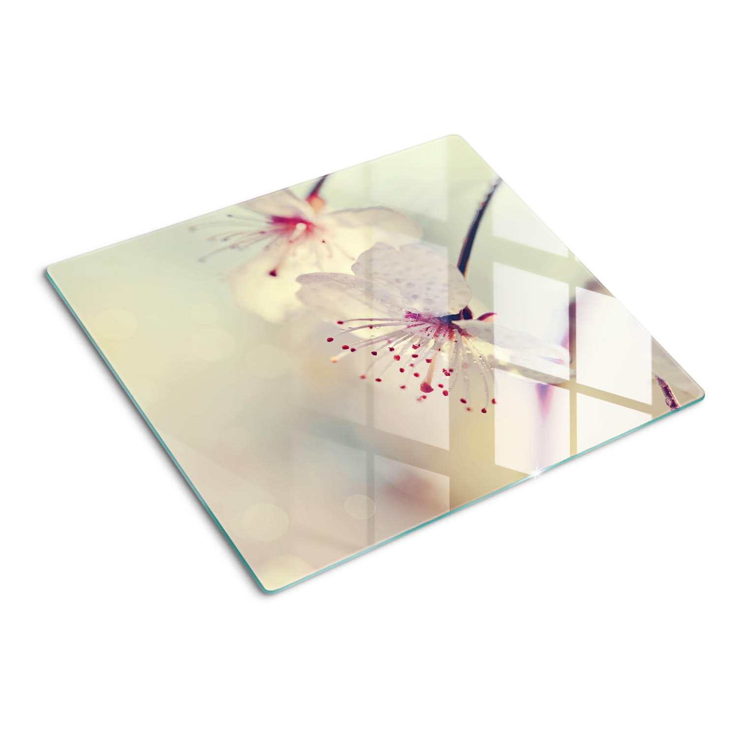 GLASPLATTE 60x52 cm Kirschblüte - Weiß, Glas (60/0.4/52cm) - TULUP