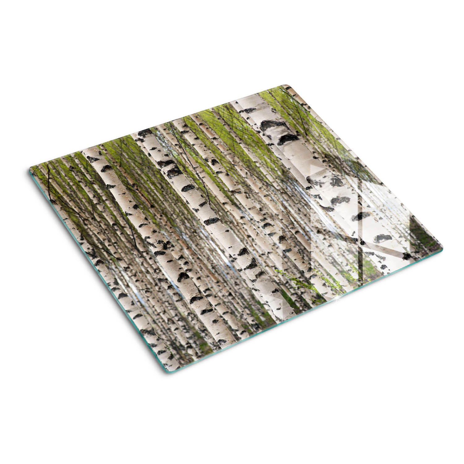 GLASPLATTE 60x52 cm Birkenwald - Weiß, Glas (60/0.4/52cm) - TULUP