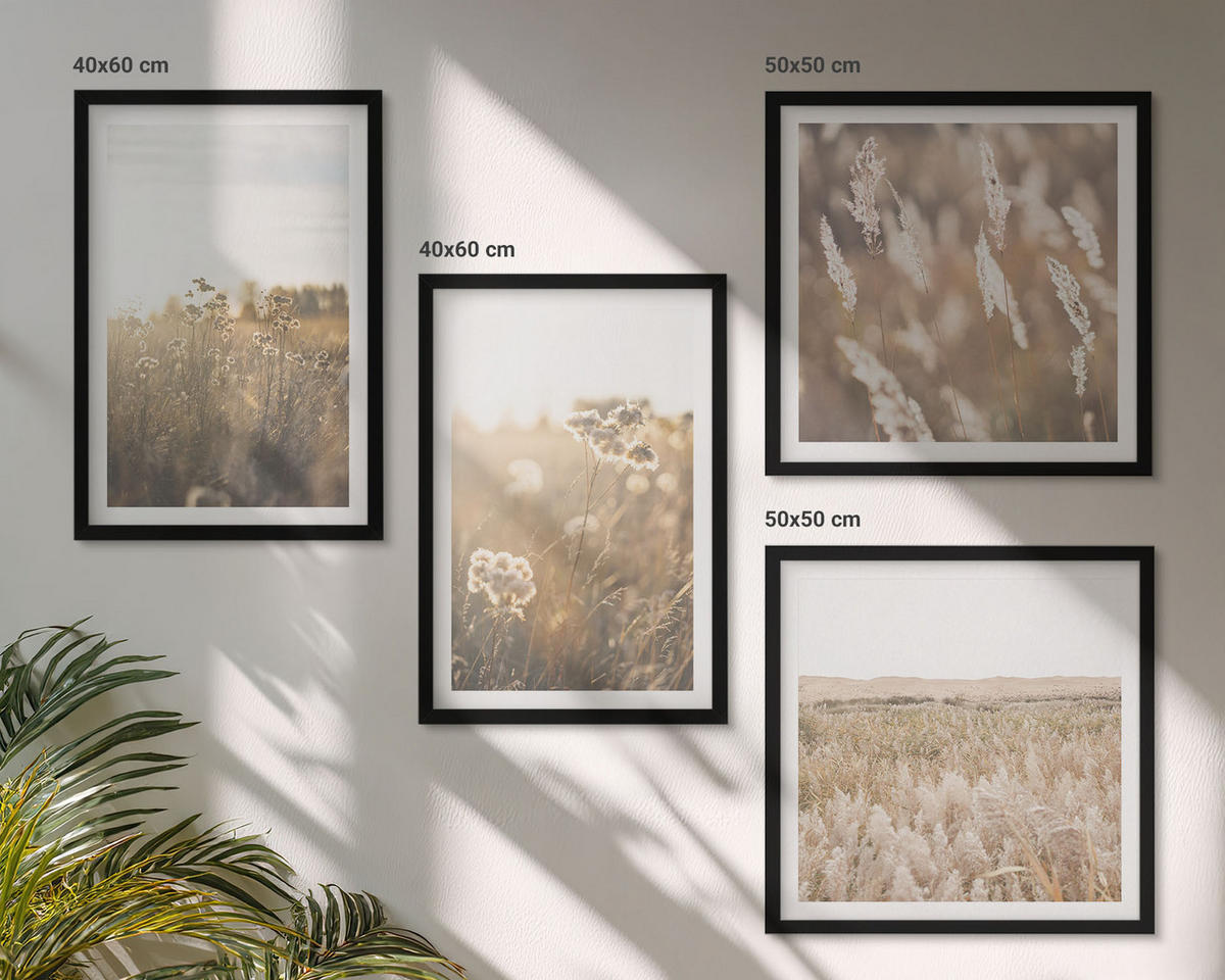 BILDER SET 4er Set - 50x50 cm & 40x60 cm Schwarzer Rahmen - Landschaftsgrasblumen Wärme - Schwarz, Kunststoff (50/50cm) - TULUP