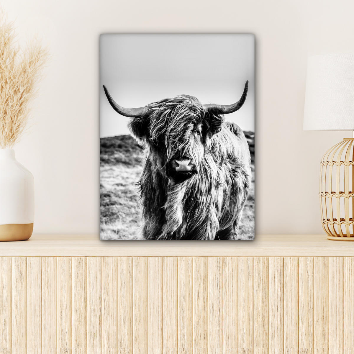 OBRAZ NA PLÁTNĚ Kráva - Skotský horal - Černá - Bílá - Zvíře - Příroda - Divoká zvěř 30x40 cm - černá, textil (30/40cm) - MuchoWow